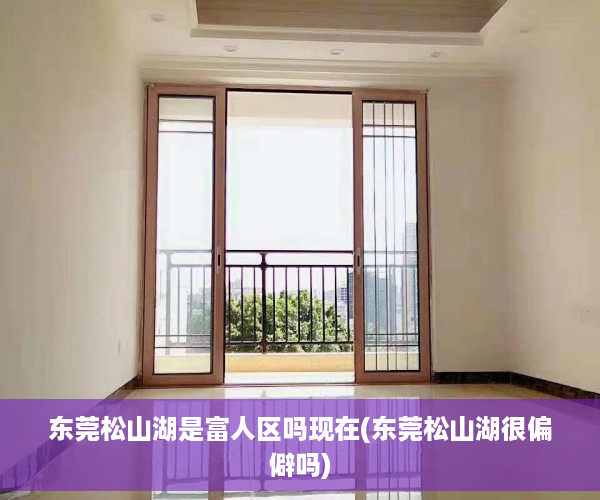 东莞松山湖是富人区吗现在(东莞松山湖很偏僻吗)