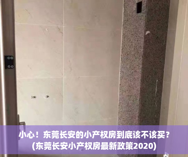 小心！东莞长安的小产权房到底该不该买？(东莞长安小产权房最新政策2020)
