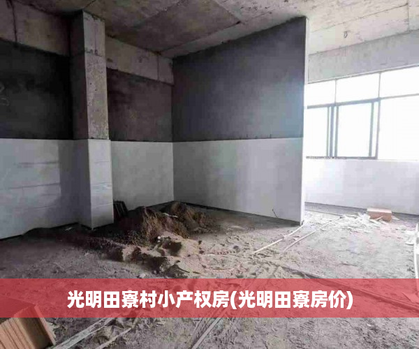 光明田寮村小产权房(光明田寮房价)