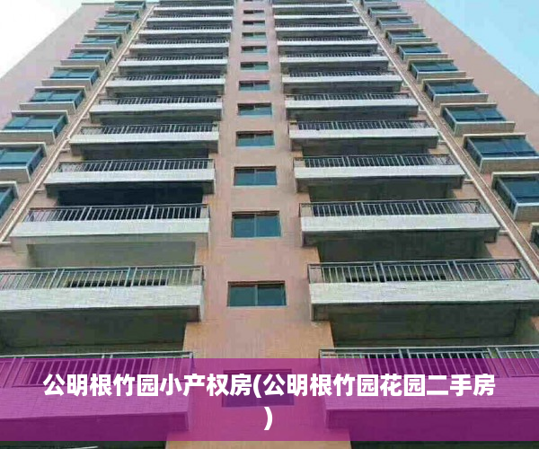 公明根竹园小产权房(公明根竹园花园二手房) 公明根竹园小产权房(公明根竹园花园二手房)