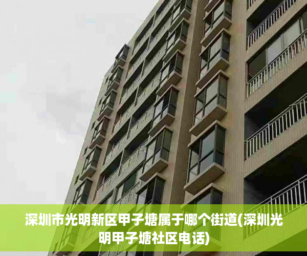 深圳市光明新区甲子塘属于哪个街道(深圳光明甲子塘社区电话)