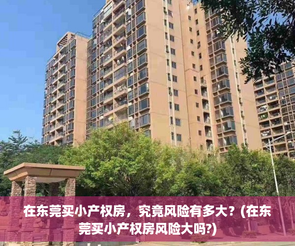 在东莞买小产权房，究竟风险有多大？(在东莞买小产权房风险大吗?)