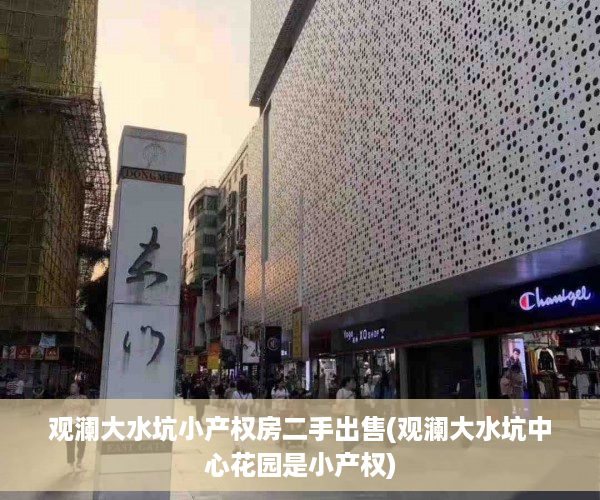 观澜大水坑小产权房二手出售(观澜大水坑中心花园是小产权)
