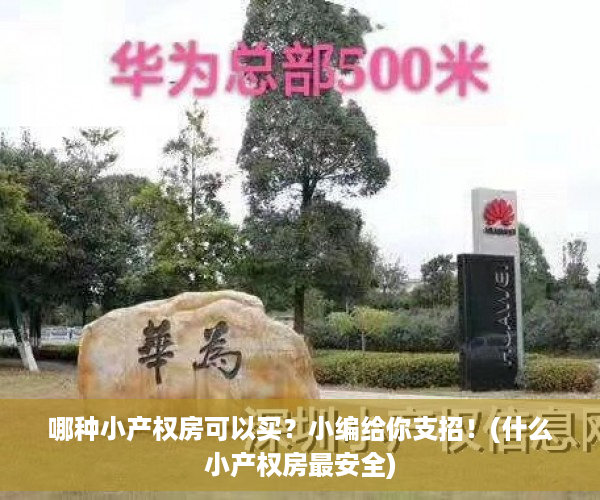 哪种小产权房可以买？小编给你支招！(什么小产权房最安全)