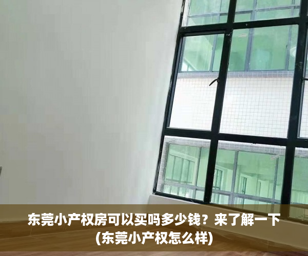 东莞小产权房可以买吗多少钱？来了解一下(东莞小产权怎么样)