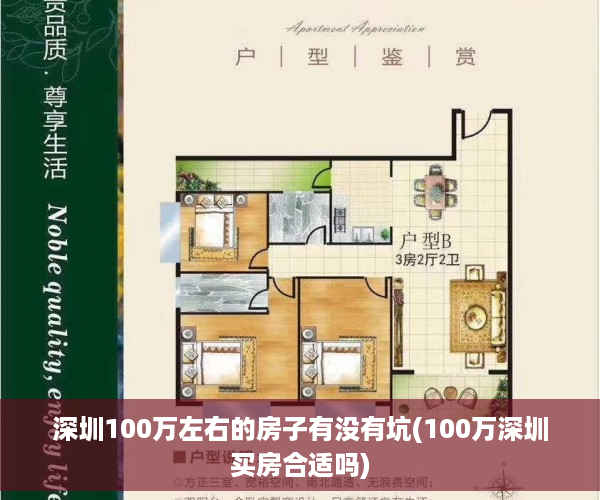 深圳100万左右的房子有没有坑(100万深圳买房合适吗)
