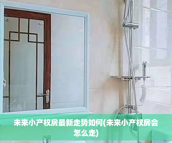 未来小产权房最新走势如何(未来小产权房会怎么走)