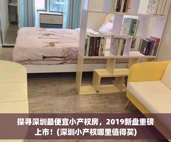 探寻深圳最便宜小产权房，2019新盘重磅上市！(深圳小产权哪里值得买)