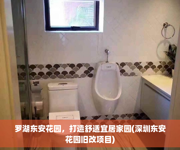 罗湖东安花园，打造舒适宜居家园(深圳东安花园旧改项目)