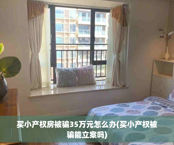 买小产权房被骗35万元怎么办(买小产权被骗能立案吗)