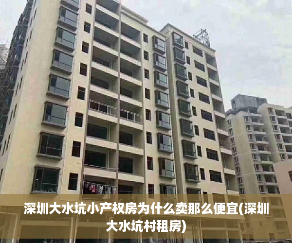 深圳大水坑小产权房为什么卖那么便宜(深圳大水坑村租房)