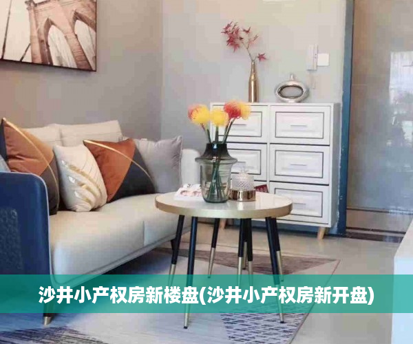 沙井小产权房新楼盘(沙井小产权房新开盘)