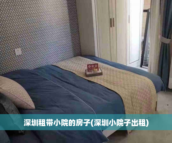 深圳租带小院的房子(深圳小院子出租)