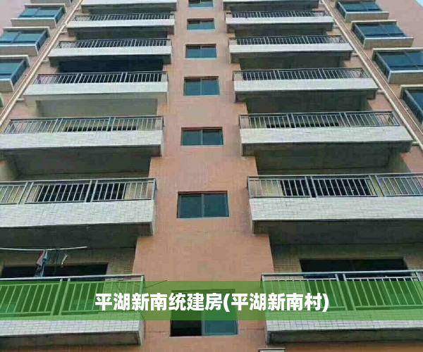 平湖新南统建房(平湖新南村)