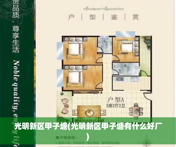 光明新区甲子塘(光明新区甲子塘有什么好厂)
