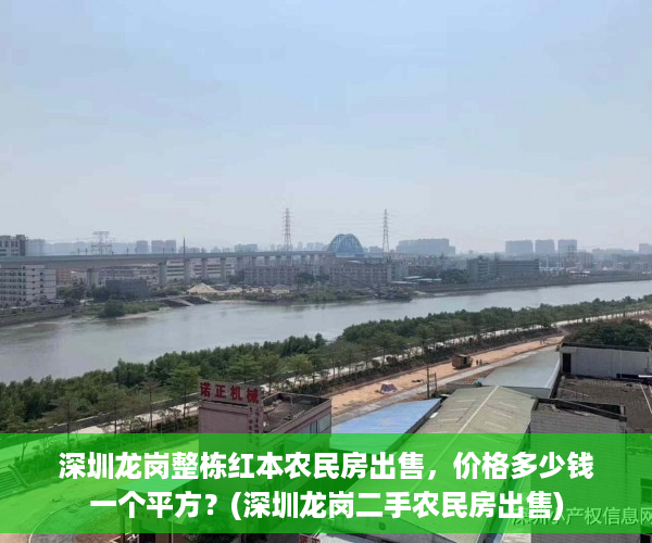 深圳龙岗整栋红本农民房出售，价格多少钱一个平方？(深圳龙岗二手农民房出售)
