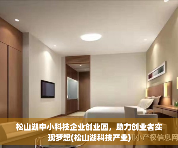 松山湖中小科技企业创业园，助力创业者实现梦想(松山湖科技产业)