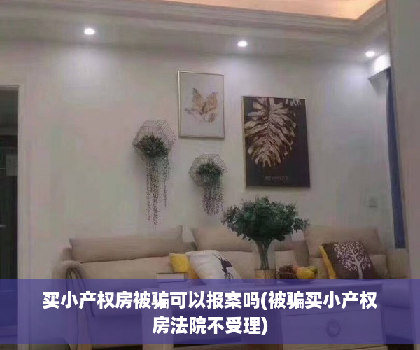 买小产权房被骗可以报案吗(被骗买小产权房法院不受理)
