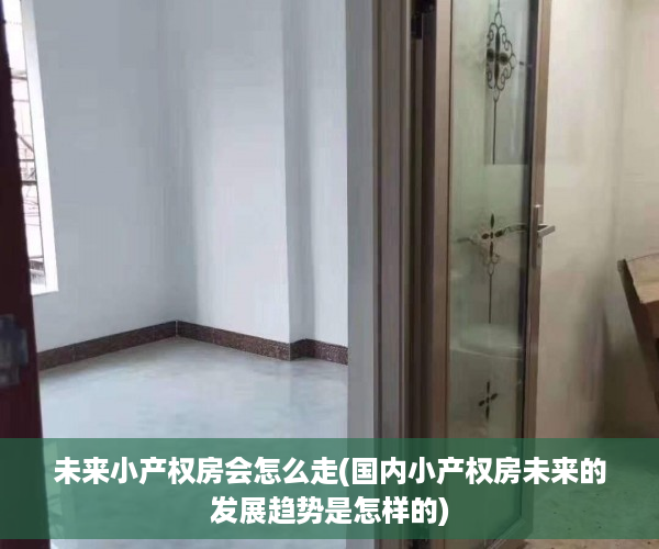 未来小产权房会怎么走(国内小产权房未来的发展趋势是怎样的)