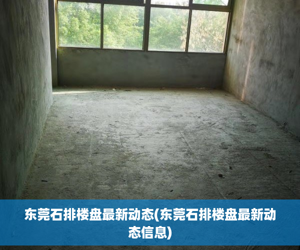 东莞石排楼盘最新动态(东莞石排楼盘最新动态信息) 东莞石排楼盘最新动态(东莞石排楼盘最新动态信息)