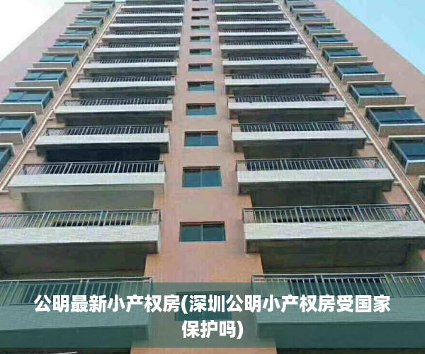公明最新小产权房(深圳公明小产权房受国家保护吗)