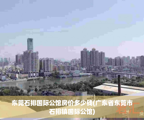 东莞石排国际公馆房价多少钱(广东省东莞市石排镇国际公馆)