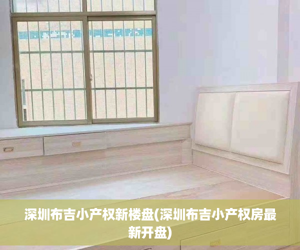 深圳布吉小产权新楼盘(深圳布吉小产权房最新开盘)