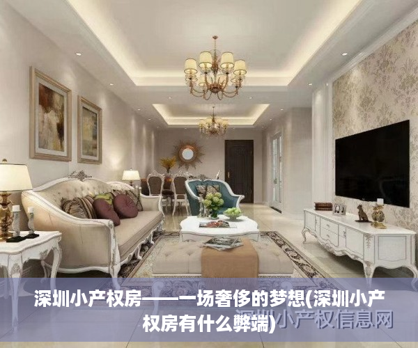 深圳小产权房——一场奢侈的梦想(深圳小产权房有什么弊端)