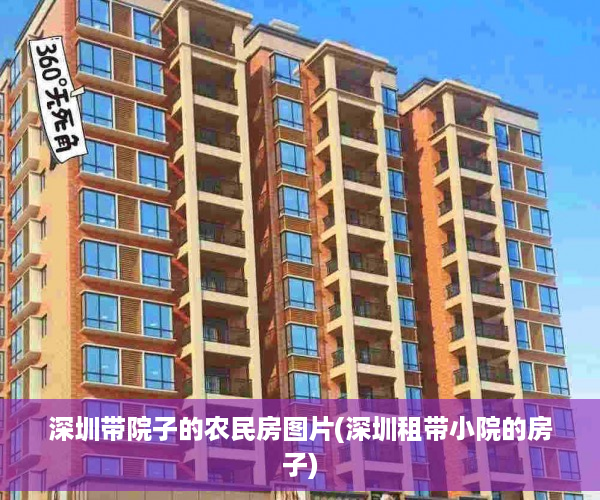 深圳带院子的农民房图片(深圳租带小院的房子)