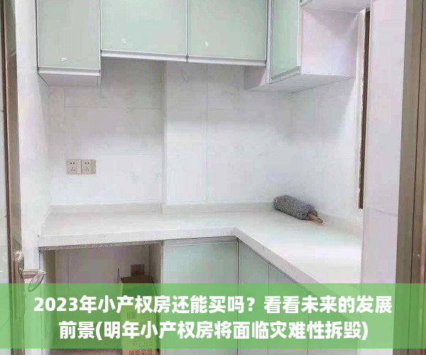 2023年小产权房还能买吗？看看未来的发展前景(明年小产权房将面临灾难性拆毁)