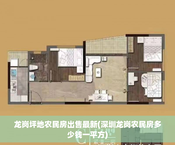 龙岗坪地农民房出售最新(深圳龙岗农民房多少钱一平方)