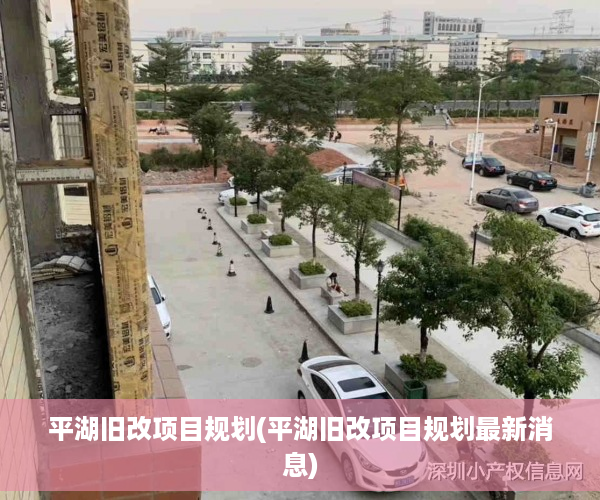 平湖旧改项目规划(平湖旧改项目规划最新消息)