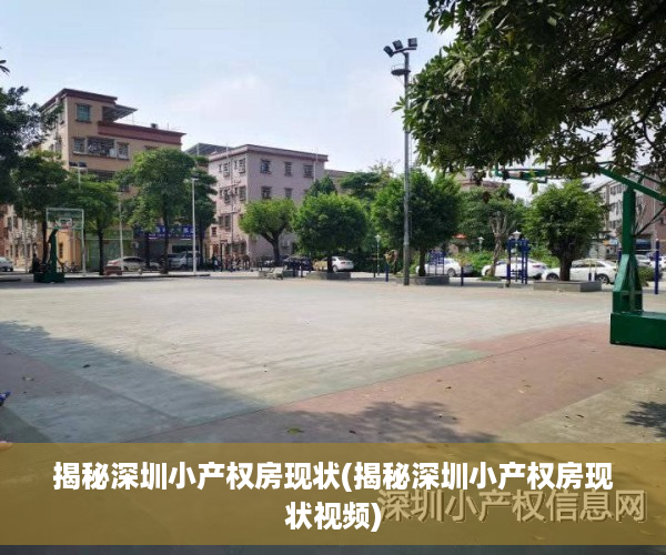 揭秘深圳小产权房现状(揭秘深圳小产权房现状视频)