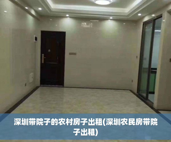 深圳带院子的农村房子出租(深圳农民房带院子出租)