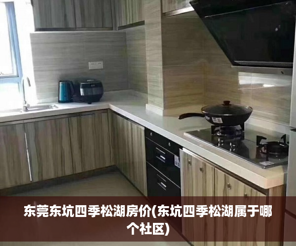 东莞东坑四季松湖房价(东坑四季松湖属于哪个社区)