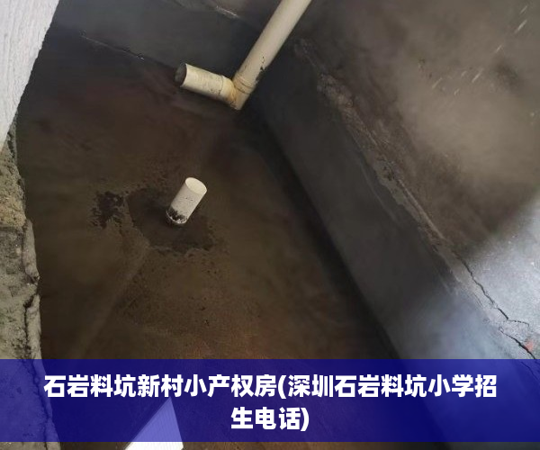 石岩料坑新村小产权房(深圳石岩料坑小学招生电话)