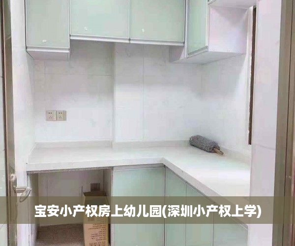 宝安小产权房上幼儿园(深圳小产权上学)