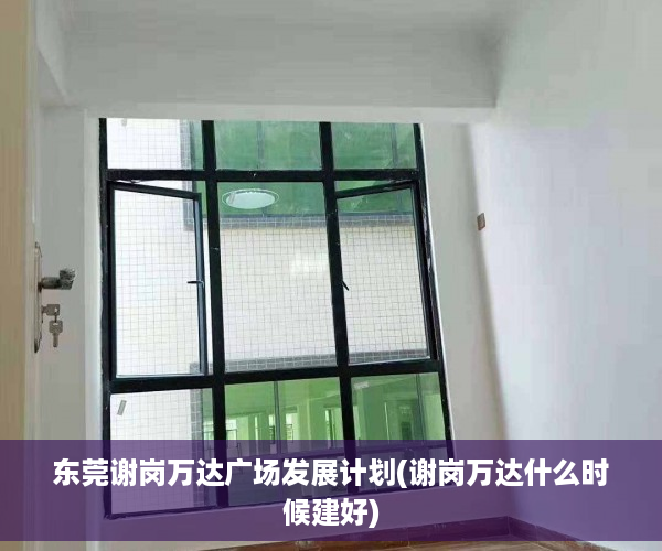 东莞谢岗万达广场发展计划(谢岗万达什么时候建好)