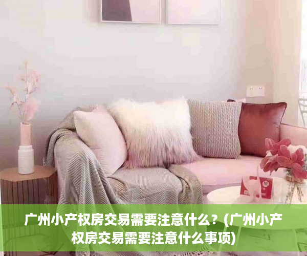 广州小产权房交易需要注意什么？(广州小产权房交易需要注意什么事项)