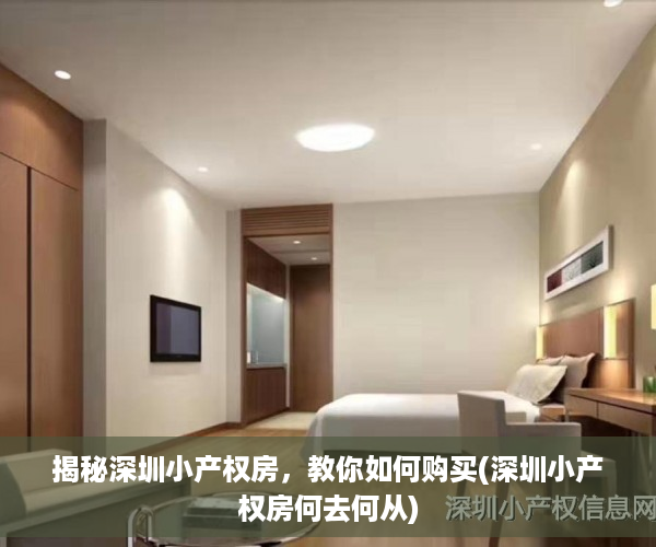 揭秘深圳小产权房，教你如何购买(深圳小产权房何去何从)