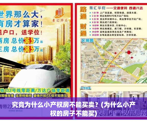 究竟为什么小产权房不能买卖？(为什么小产权的房子不能买)