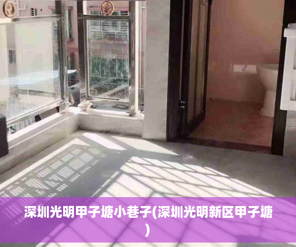 深圳光明甲子塘小巷子(深圳光明新区甲子塘)