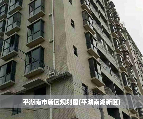 平湖南市新区规划图(平湖南湖新区)
