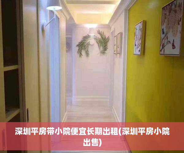 深圳平房带小院便宜长期出租(深圳平房小院出售)