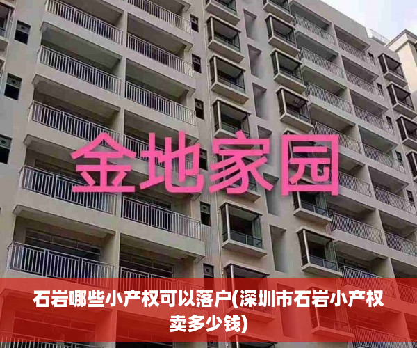 石岩哪些小产权可以落户(深圳市石岩小产权卖多少钱)