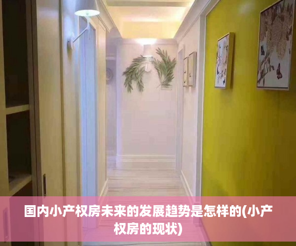 国内小产权房未来的发展趋势是怎样的(小产权房的现状)