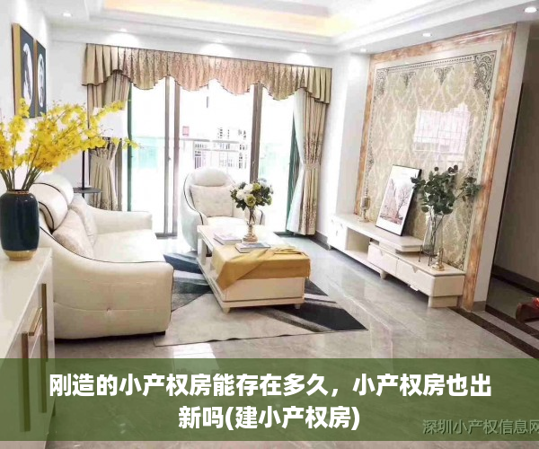 刚造的小产权房能存在多久，小产权房也出新吗(建小产权房)