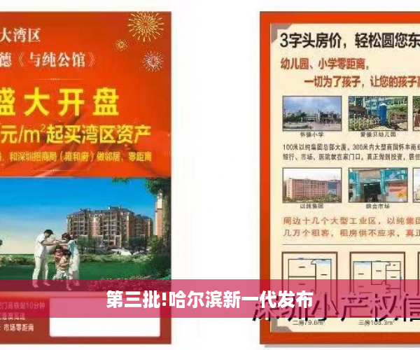 第三批!哈尔滨新一代发布