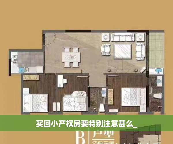 买回小产权房要特别注意甚么_