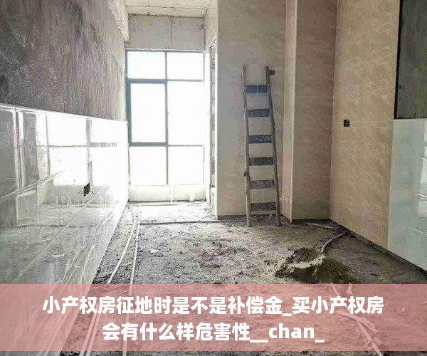 小产权房征地时是不是补偿金_买小产权房会有什么样危害性__chan_